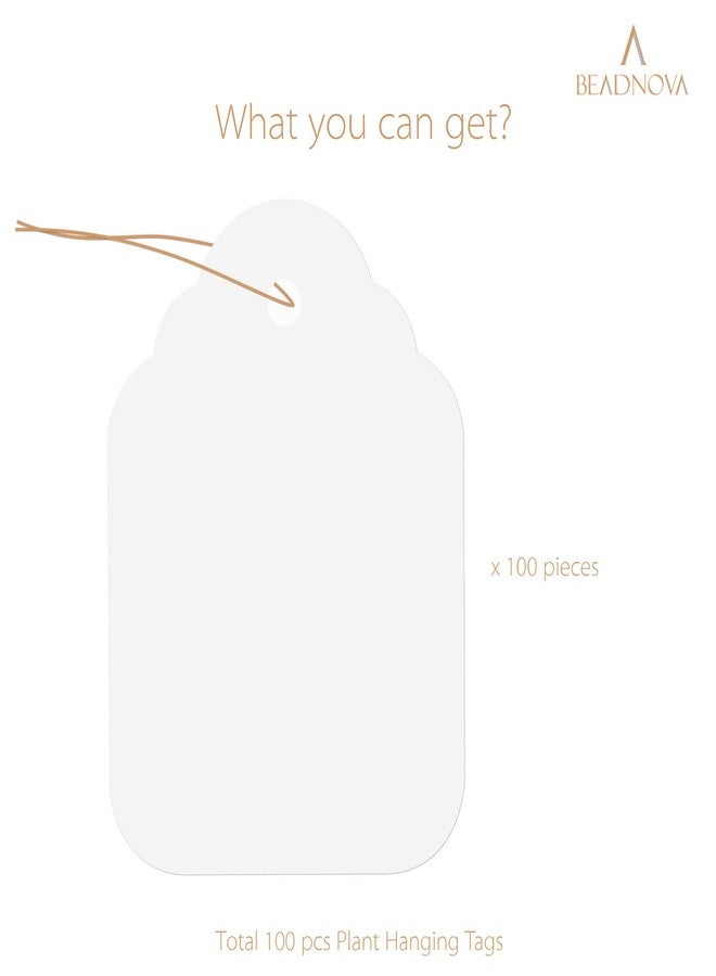 BEADNOVA Plant Hanging Tags 100pcs Tags with String Reusable Plant Labels Markers Plastic Garden Signs Garden Markers for Outdoor (2 Inch, White) - Image 3